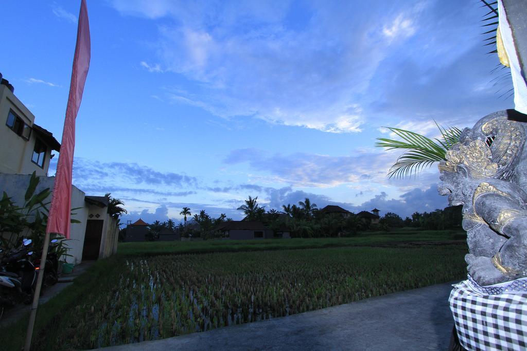 Pondok Buda Merta Ubud Kültér fotó