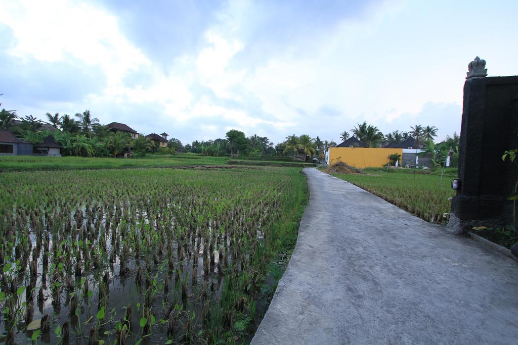 Pondok Buda Merta Ubud Kültér fotó
